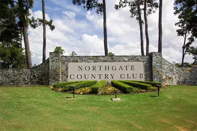 2919 Twin Fountains Drive, Houston, TX 77068 - Photo 35