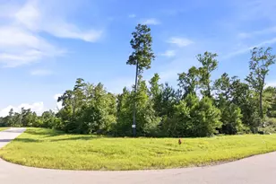 300 Iron Horse Rd, Willis, TX 77378 - Photo 1