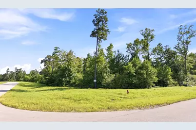 300 Iron Horse Road, Willis, TX 77378 - Photo 3