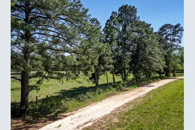 0 Black Jack Cemetery Road, Huntsville, TX 77340 - Photo 3