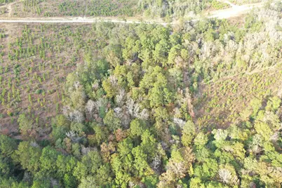 Tbd Lady Luck Parcel Id 246445 Lane, Livingston, TX 77351 - Photo 7