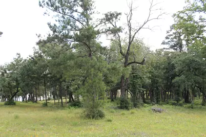 Tract 152 Private Road 1311, Centerville, TX 75833 - Photo 15