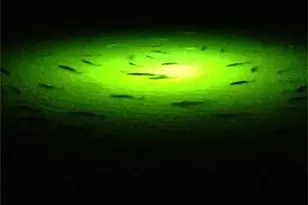 7 Ramrod, Hitchcock, TX 77563 - Photo 49