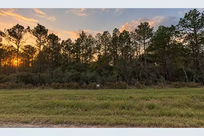 15673 Forest Grove Drive, Willis, TX 77378 - Photo 5