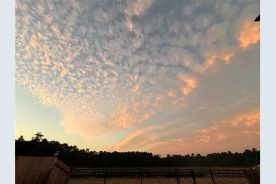 7823 Alset Drive, Magnolia, TX 77354 - Photo 19