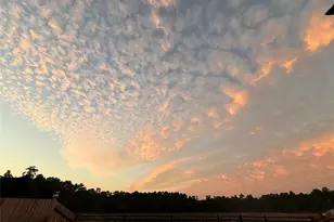 7823 Alset Dr, Magnolia, TX 77354 - Photo 19