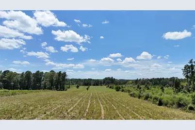 Tbd Oakdale Loop, Livingston, TX 77351 - Photo 5
