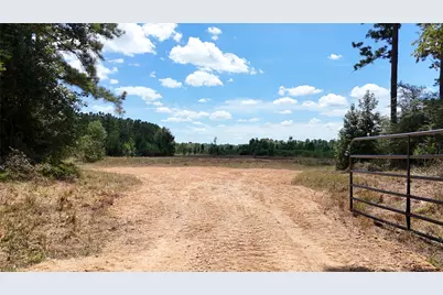 Tbd Oakdale Loop, Livingston, TX 77351 - Photo 3