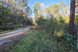 127 County Rd 360, Splendora, TX 77372 - Photo 11