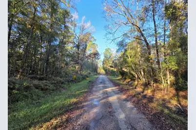 127 County Road 360, Splendora, TX 77372 - Photo 15