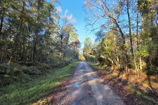 127 County Rd 360, Splendora, TX 77372 - Photo 15