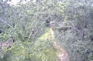 844 Pd Selman Rd, Lufkin, TX 75901 - Photo 5