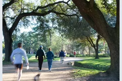 1436 W 24th Street, Houston, TX 77008 - Photo 49