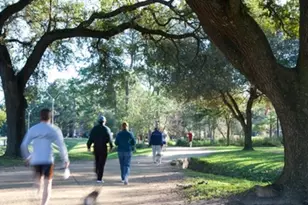 1436 W 24th St, Houston, TX 77008 - Photo 49