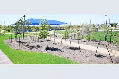 10726 Sky Creek Lane, Beasley, TX 77417 - Photo 15