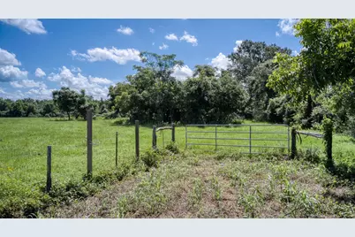 Tbd Holik Road, Hempstead, TX 77445 - Photo 19