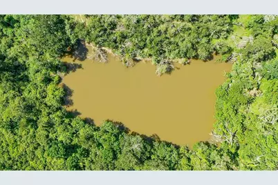 Tbd Holik Road, Hempstead, TX 77445 - Photo 15