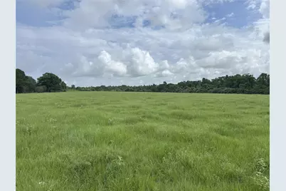 Tbd Holik Road, Hempstead, TX 77445 - Photo 21