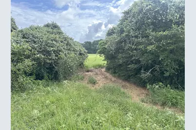 Tbd Holik Road, Hempstead, TX 77445 - Photo 25