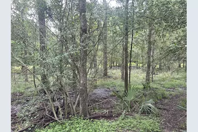 Tbd Holik Road, Hempstead, TX 77445 - Photo 31