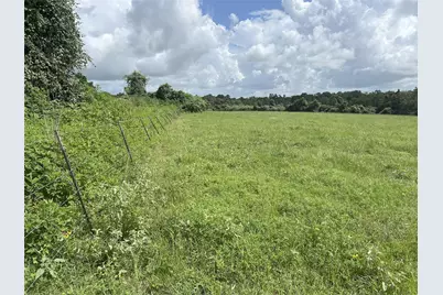 Tbd Holik Road, Hempstead, TX 77445 - Photo 33