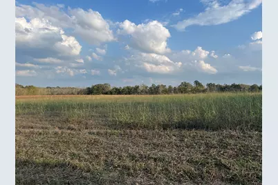 0 Squirrel Rd, New Ulm, TX 78950 - Photo 3