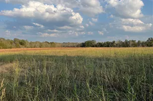 0 Squirrel Rd, New Ulm, TX 78950 - Photo 1