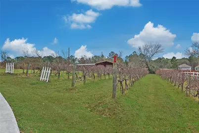 20011 Hilltop Ranch Drive, Montgomery, TX 77316 - Photo 39