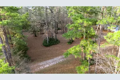 27310 Decker Woods Drive, Magnolia, TX 77354 - Photo 37