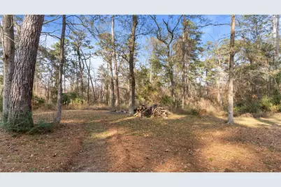 27310 Decker Woods Drive, Magnolia, TX 77354 - Photo 7