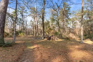 27310 Decker Woods Dr, Magnolia, TX 77354 - Photo 7