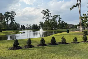 14208 Wallowa Ridge Ln, Conroe, TX 77384 - Photo 41