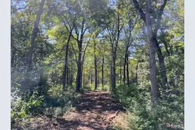 Unk Sawmill Road, Franklin, TX 77856 - Photo 7