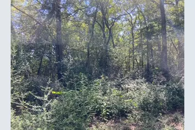 Unk Sawmill Road, Franklin, TX 77856 - Photo 5