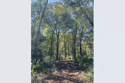 Unk Sawmill Road, Franklin, TX 77856 - Photo 11