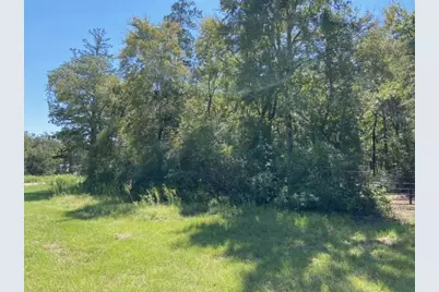 Unk Sawmill Road, Franklin, TX 77856 - Photo 15