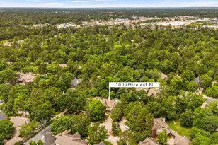 10 Latticeleaf Pl, The Woodlands, TX 77382 - Photo 43