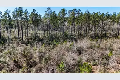 15973 Ridge Oak Road, Willis, TX 77378 - Photo 19