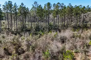 15973 Ridge Oak Rd, Willis, TX 77378 - Photo 19