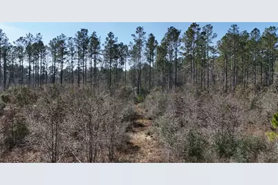 15973 Ridge Oak Road, Willis, TX 77378 - Photo 17