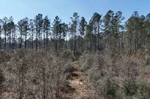 15973 Ridge Oak Rd, Willis, TX 77378 - Photo 17