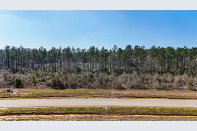 15973 Ridge Oak Road, Willis, TX 77378 - Photo 3