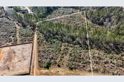 15973 Ridge Oak Road, Willis, TX 77378 - Photo 9