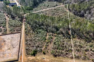 15973 Ridge Oak Rd, Willis, TX 77378 - Photo 9