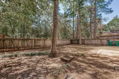 6 N Waxberry Road, The Woodlands, TX 77381 - Photo 31