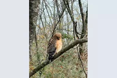247 N Onalaska, Onalaska, TX 77360 - Photo 23