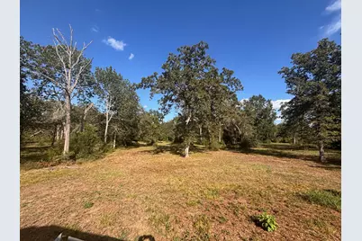 5829 Hwy 159 W, Bellville, TX 77418 - Photo 7