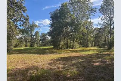5829 Hwy 159 W, Bellville, TX 77418 - Photo 9