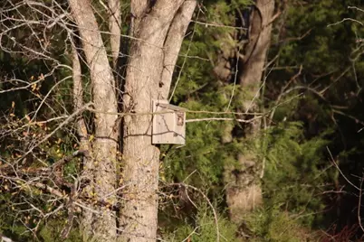 22 Chappell Reserve Drive, Washington, TX 77880 - Photo 9