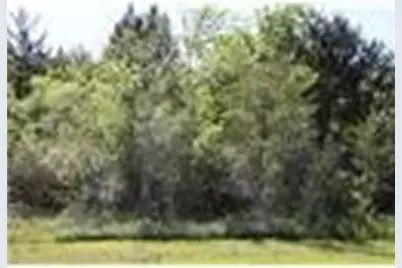 Lot 22 Chappell Reserve Drive, Washington, TX 77880 - Photo 5